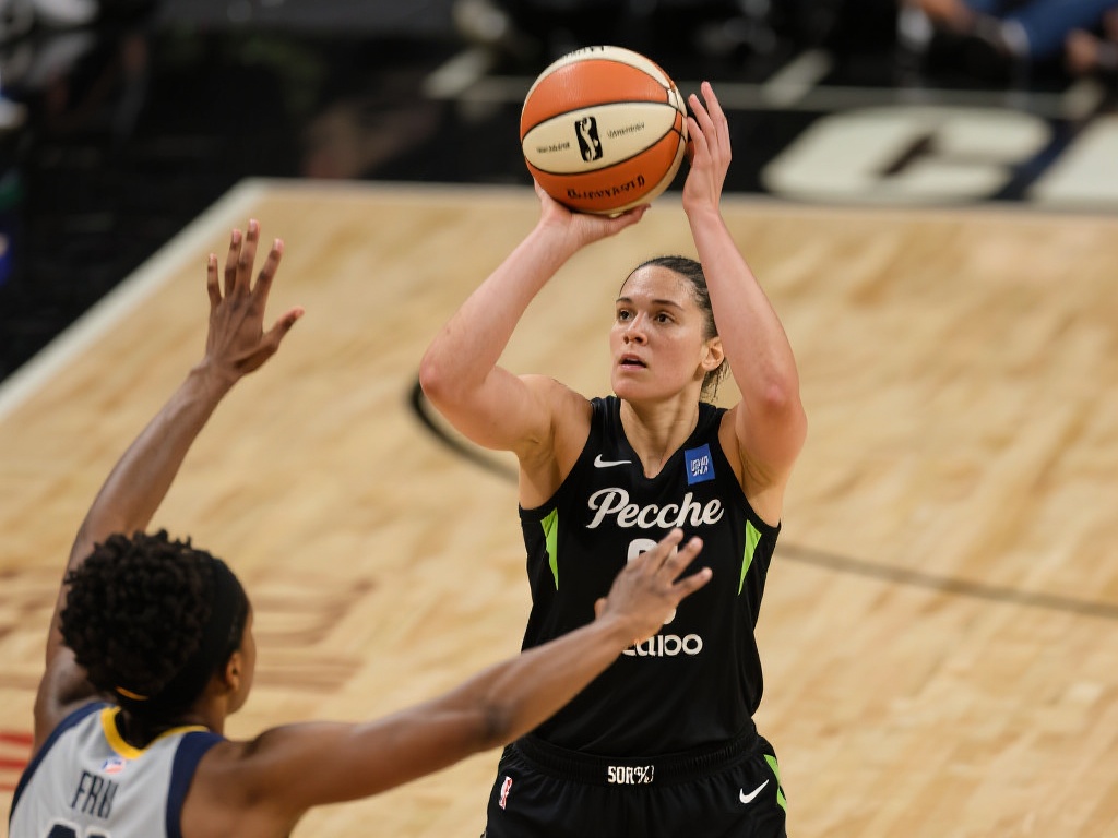 与会专家建 与会专家建